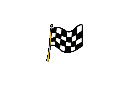 Flag Animation
